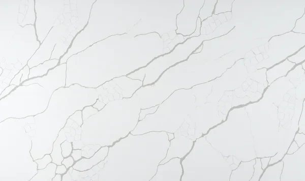 Auro Quartz Calacatta 6601 quartz slab, white base, grey veins in a dense network
